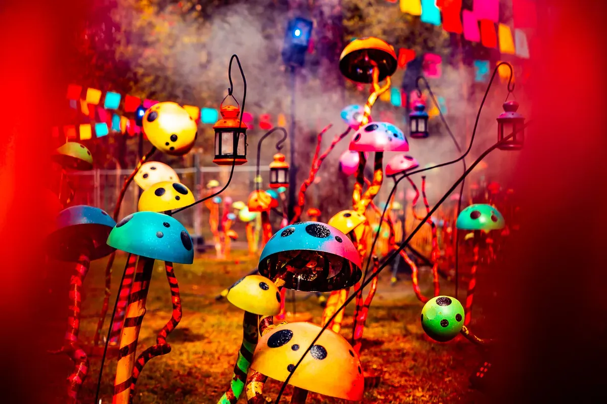 SUNRISE FESTIVAL 24 - Gallery