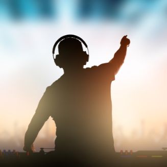 Festivals & Concerts