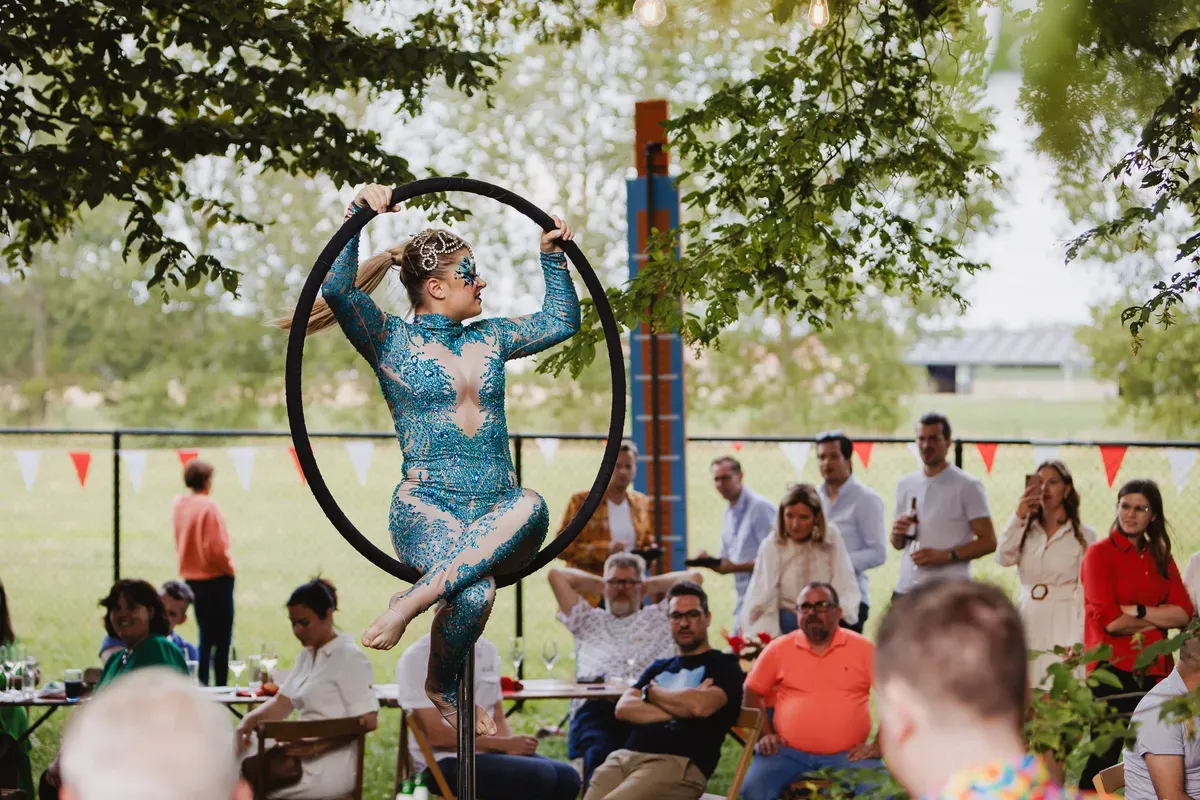 SUMMER CIRCUS - Gallery