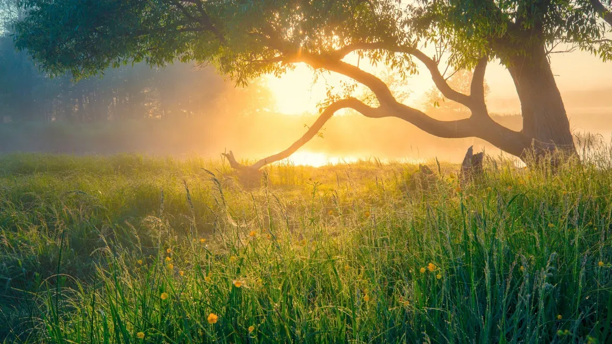 COCCOLARE THE ART OF HEALTY LIVING - Gallery